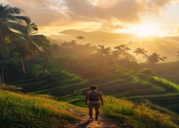 Bali rice terraces at sunrise with palm trees and a traveller looking over the landscape