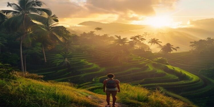 Bali rice terraces at sunrise with palm trees and a traveller looking over the landscape