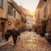 European old town street with warm evening light and travellers walking near historic buildings